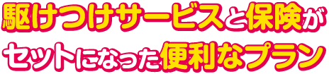 駆けつけサービスと保険がセットになった便利なプラン